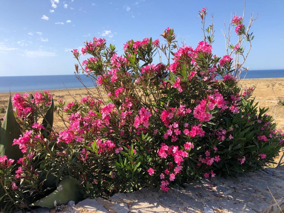 Casetta Calamancina San Vito Lo Capo Exterior foto